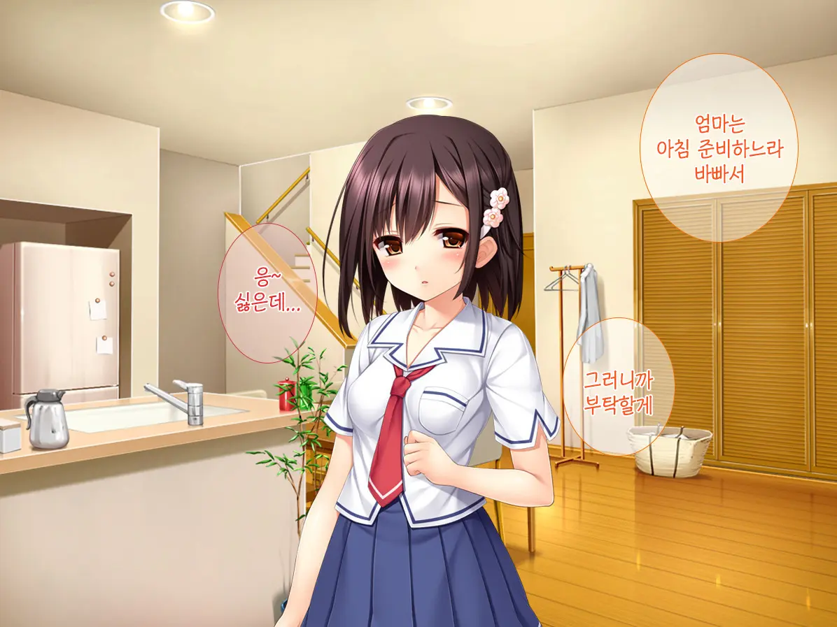 Imouto Ga Suki Sugiru Aniki Ga Kareshi Kara Netoru | 여동생을 엄청 좋아한 오빠가 남자친구에게서 여동생 빼앗기